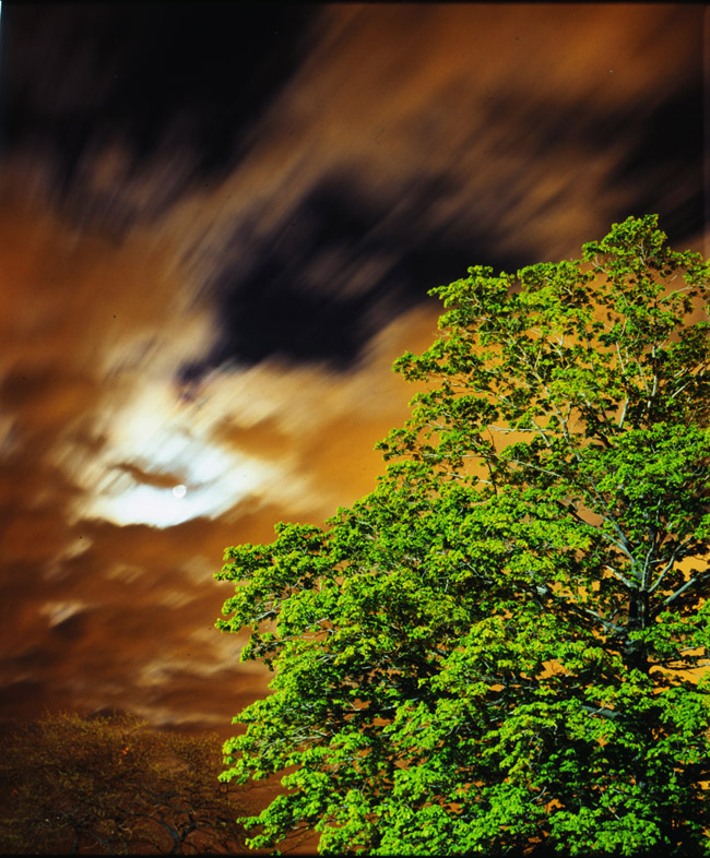 moon clouds tree 1