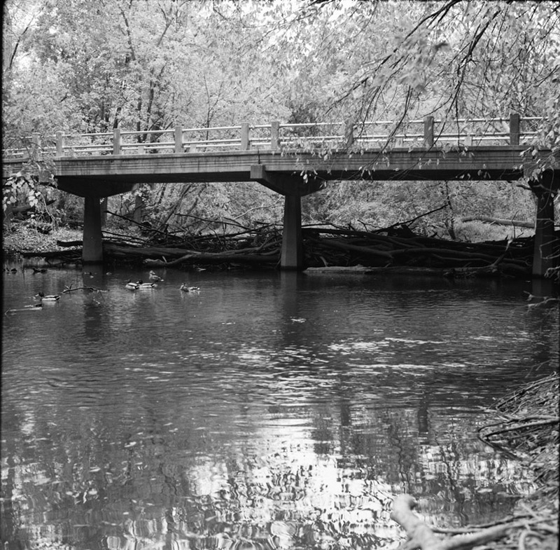 logs under the bridge