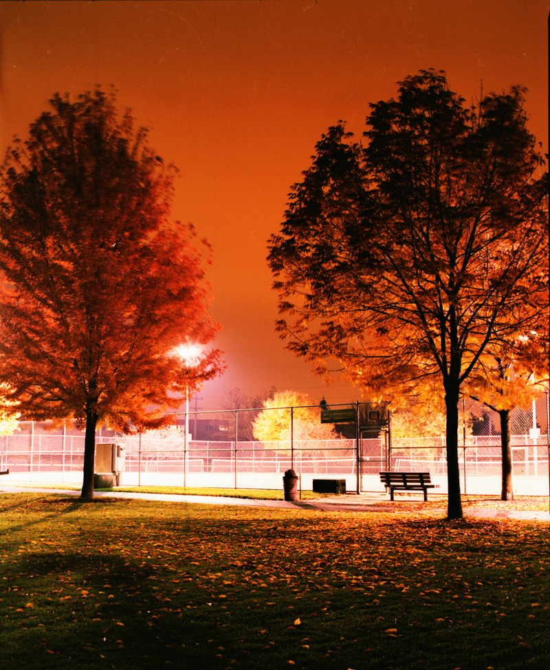 autumn trees and tennis court