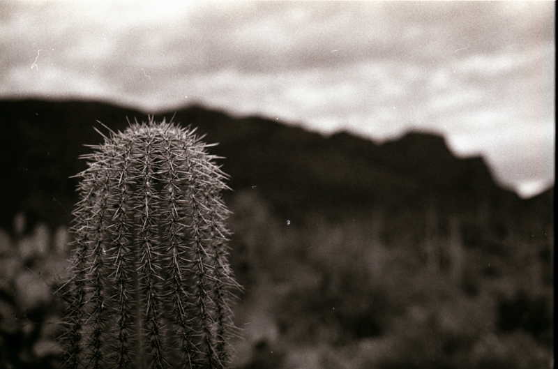 Lone Saguaro and Mountains 1