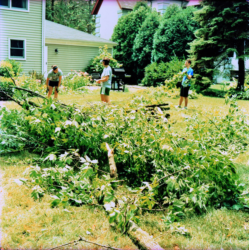 Tree Cleanup 2