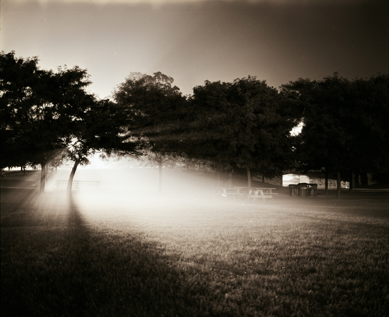 Foggy Light Through The Trees
