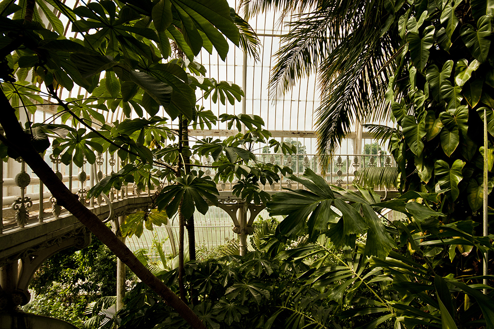 Kew Palm House Upstairs
