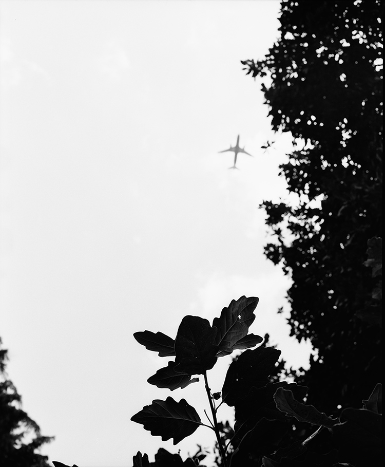 Plane over Kew Gardens