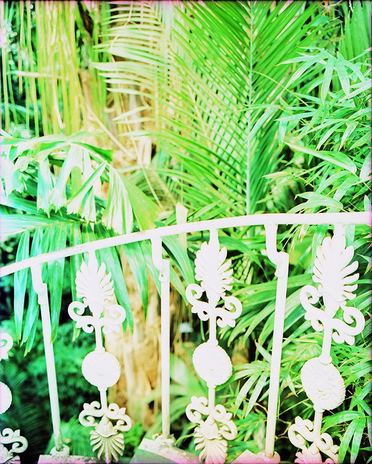 Cross-Processed Palm House Stairs