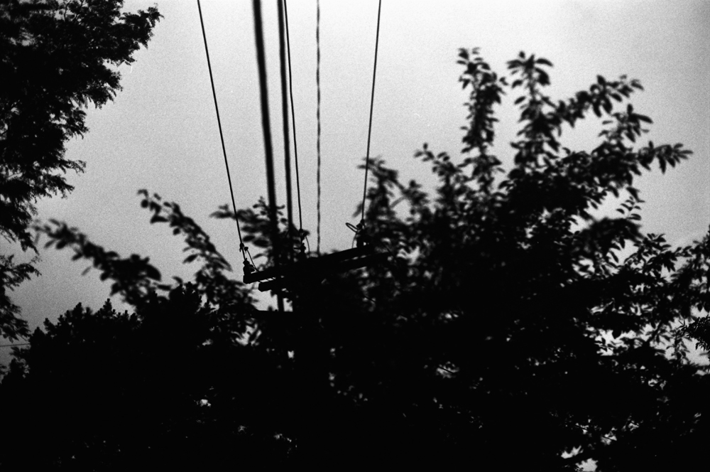 Powerlines over Trees