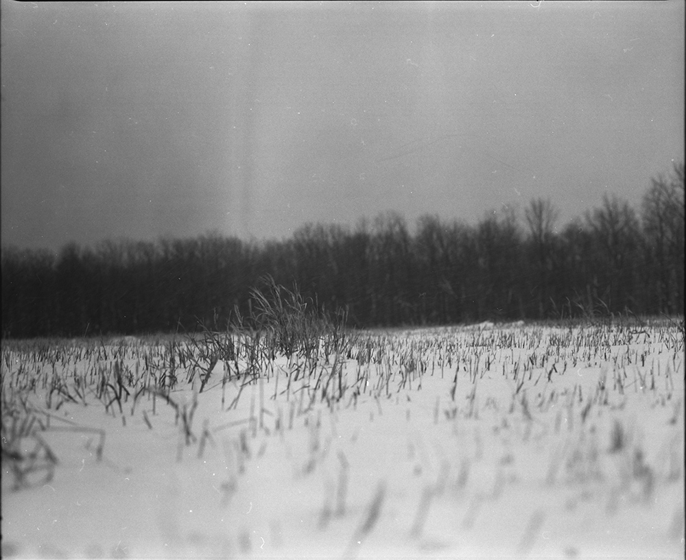 Snow Falling in a Field
