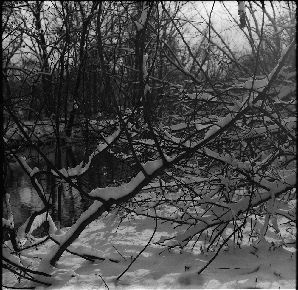 Snowy Branches Along the River 2