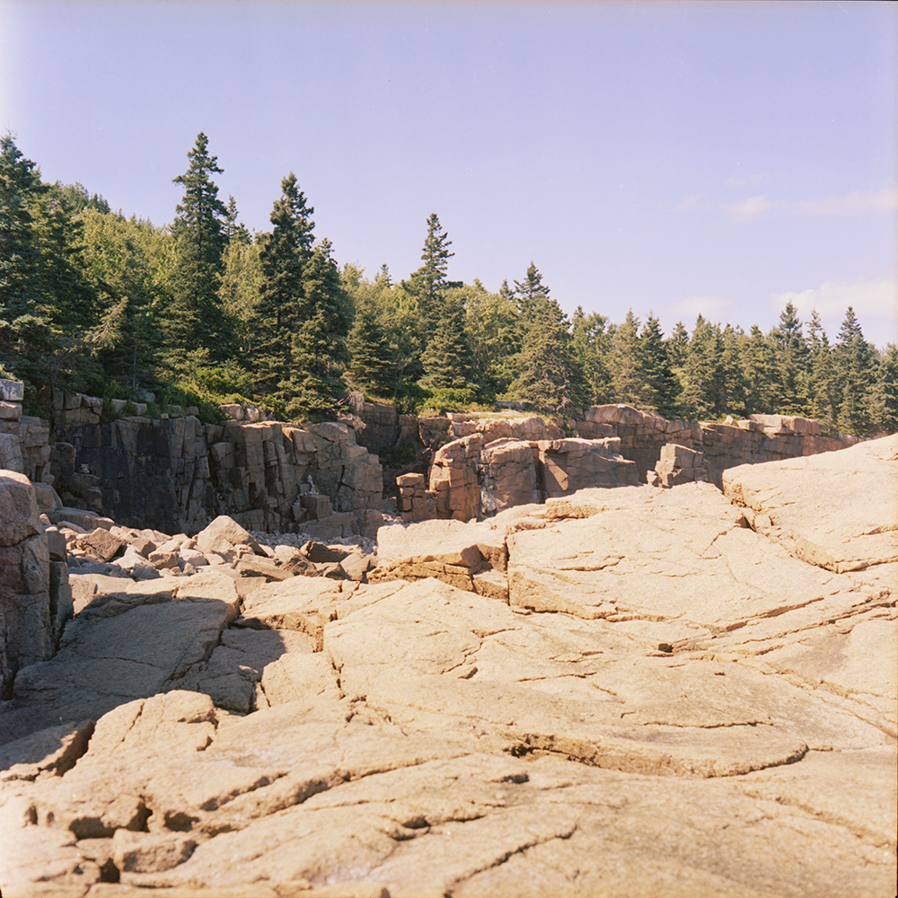 Pines and Rocky Shore