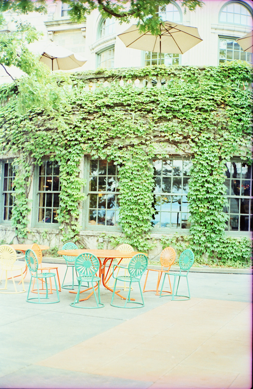 Union Chairs and Ivy