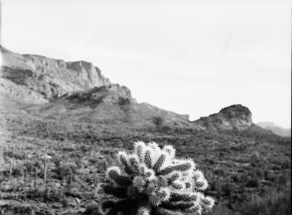 Cacti and Superstition Mountains 3