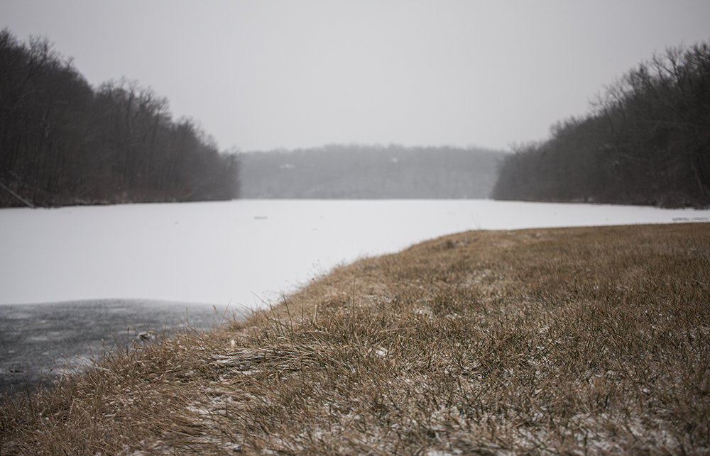 Grass and Frozen Lake 1