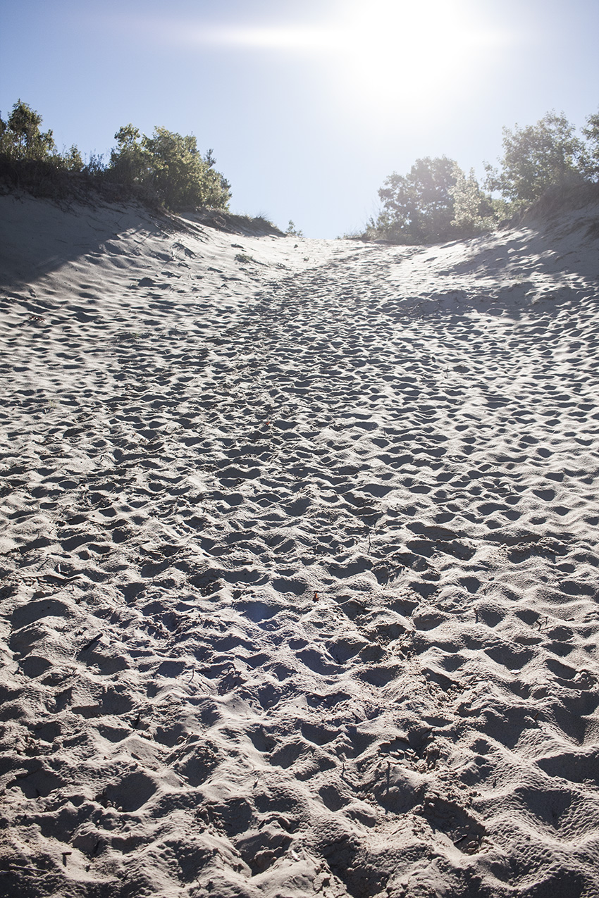 Path up the Dune 2