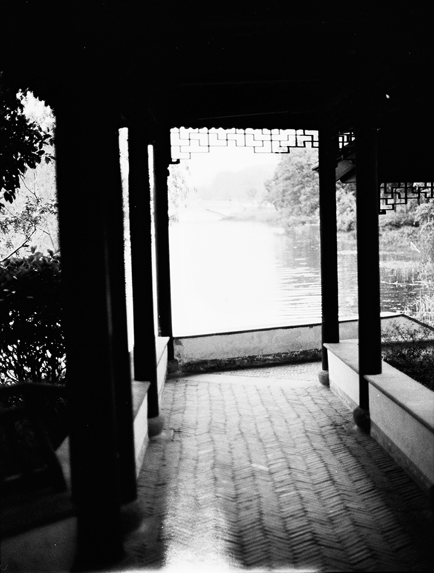 Xuanwu Lake Park 8