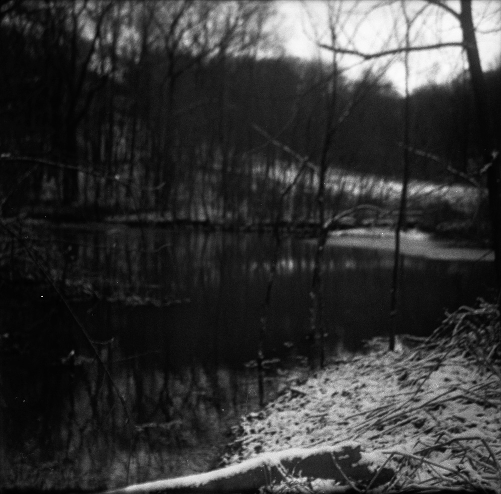 Out of Focus Forest and Pond