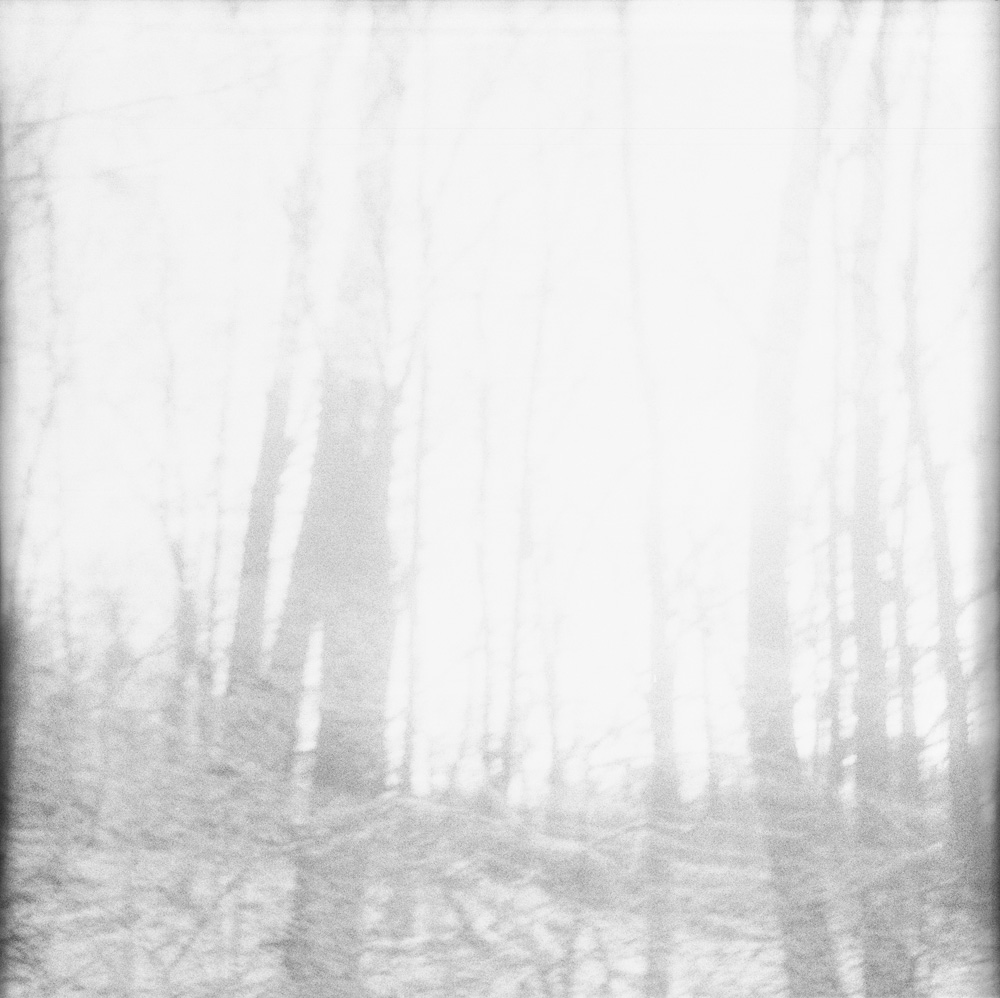 Forest Double Exposure 6