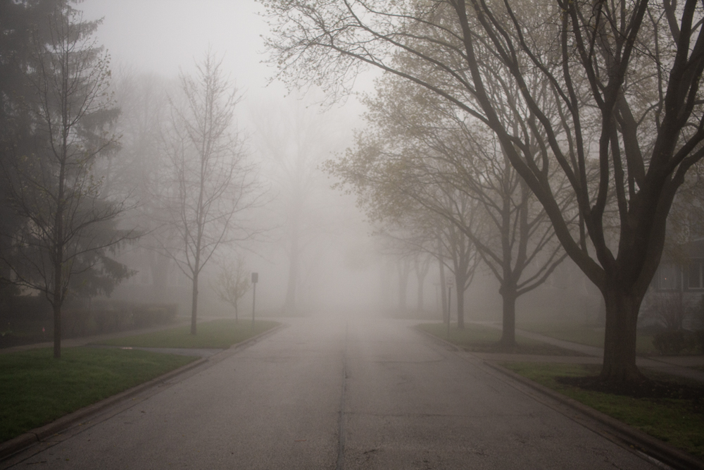 Neighborhood Fog 1